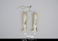 藏品(人形淨琉璃一組-左腳)的圖片